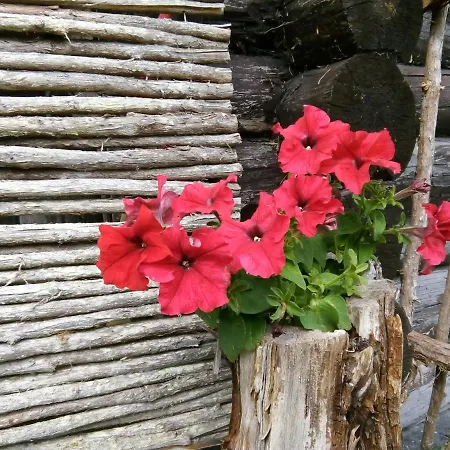 Kadariku Tourism Farm Sakla